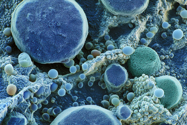 Similar image 22221576