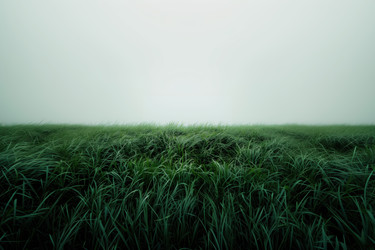 Similar image 22221233