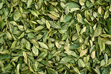 Similar image 22221054