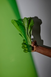 Similar image 22213660