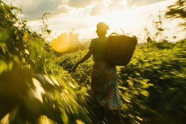 Similar image 22221067