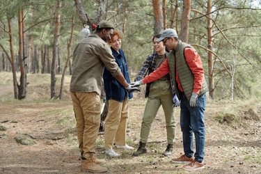 Similar image 22217641