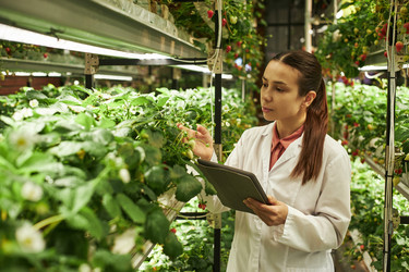 Similar image 22219018