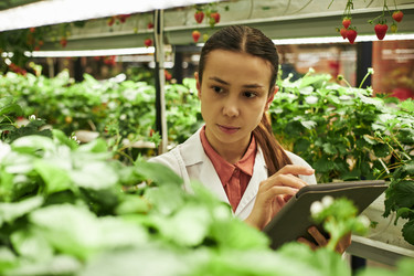 Similar image 22219022