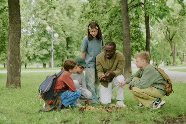 Similar image 22216955