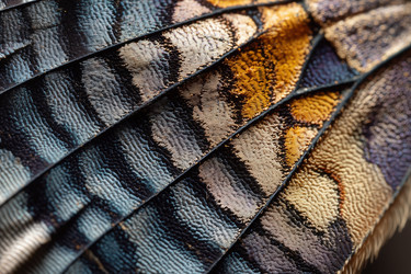 Similar image 22221604