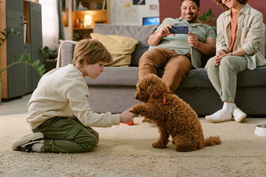 Similar image 22215982