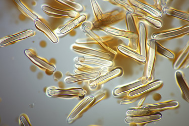 Similar image 22221534