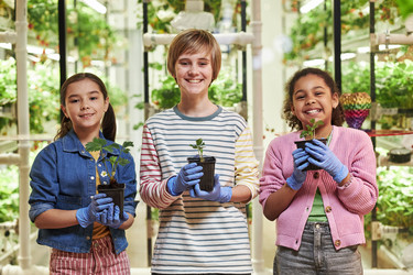 Similar image 22219053