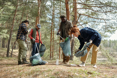 Similar image 22217654