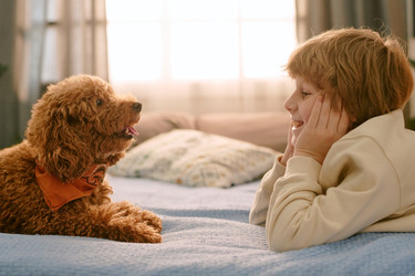 Similar image 22215962