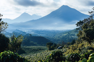 Similar image 22221076