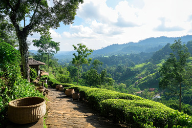 Similar image 22221043