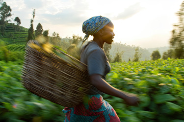 Similar image 22221069