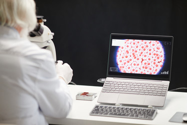 Similar image 22213039