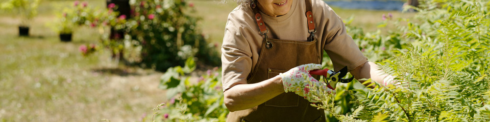 Similar image 22215818