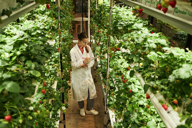 Similar image 22219036