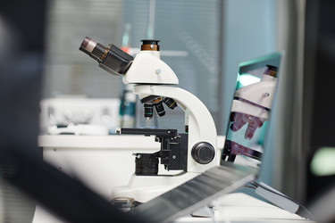 Similar image 22213024