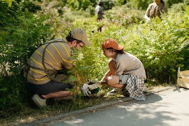 Similar image 22215785