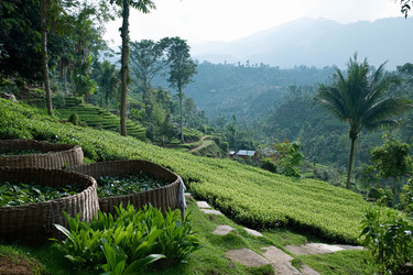 Similar image 22221045