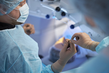 Similar image 22212528