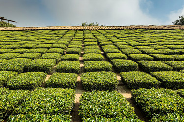 Similar image 22221021