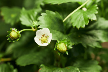 Similar image 22219092