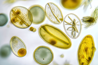 Similar image 22221512