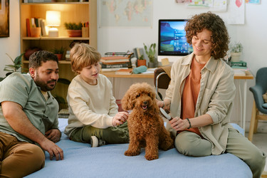 Similar image 22215929