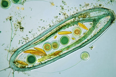 Similar image 22221531