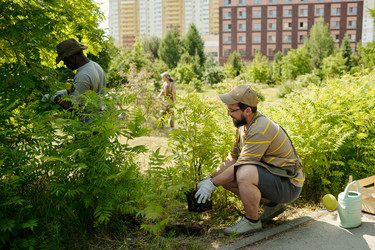 Similar image 22215778