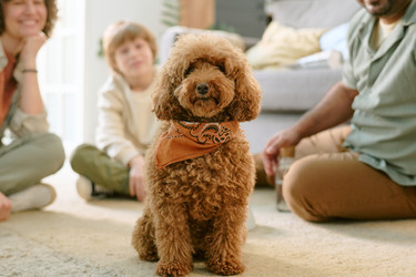 Similar image 22215923