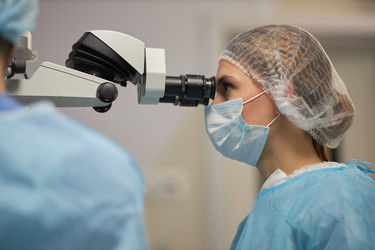 Similar image 22212481