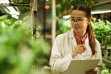 Similar image 22219034