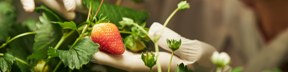 Similar image 22219071