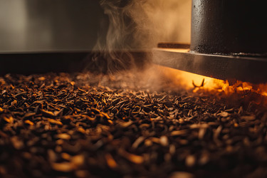 Similar image 22221048