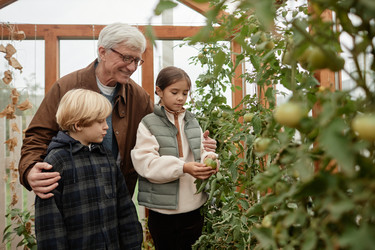 Similar image 22212863