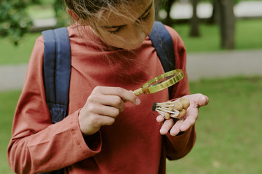 Similar image 22216965