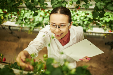 Similar image 22219042