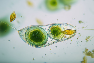 Similar image 22221536