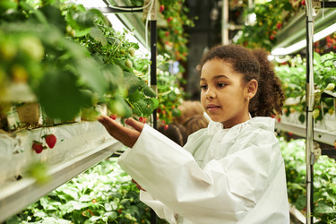 Similar image 22219068