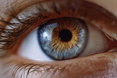 Similar image 22221590