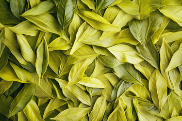 Similar image 22221053