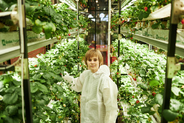 Similar image 22219083