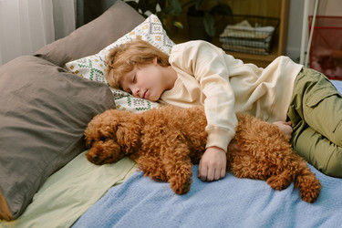 Similar image 22215990