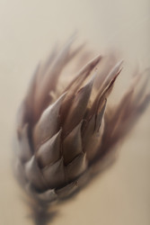 Similar image 22218726