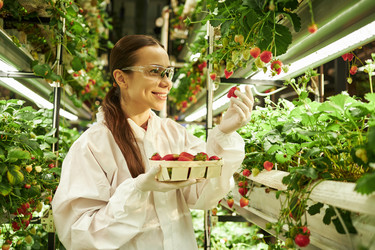 Similar image 22219004