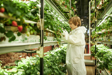 Similar image 22219082