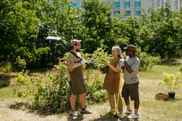 Similar image 22215789