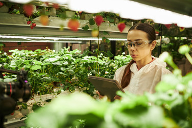 Similar image 22219098